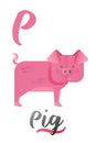 Letter P Is For Pig. ABC Illustrations With Associated Picture. Cute Animal With Tongue. Modern Flat Vector Illustration Template.